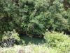 20131229_132754.jpg