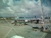 IMG_20131227_085048.jpg